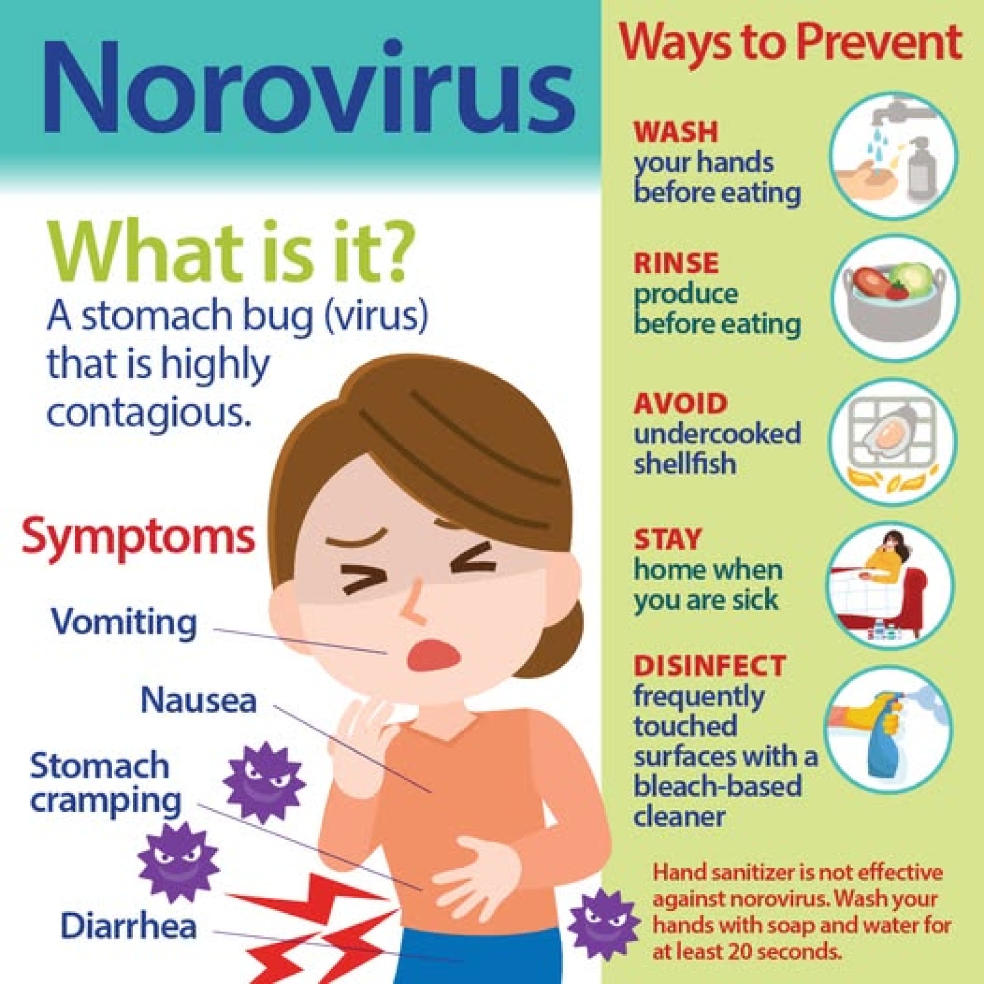 Norovirus